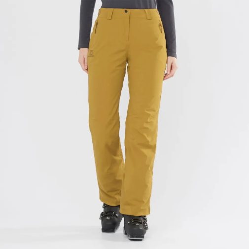 Brown Salomon The Brilliant Women's Ski Pants | IE SD8430